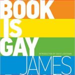 This Book is Gay